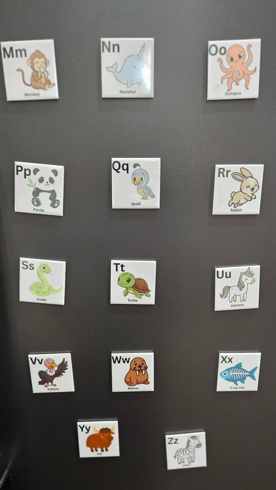 Alphabet Magnet Set