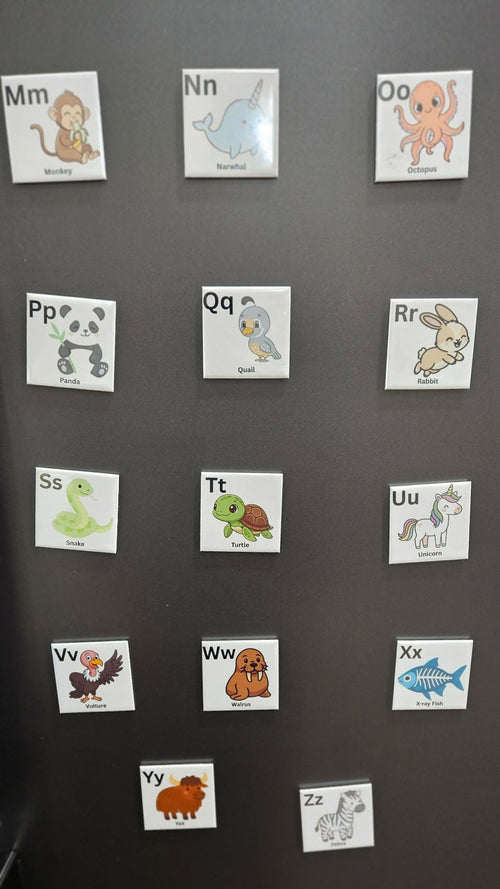Alphabet Magnet Set