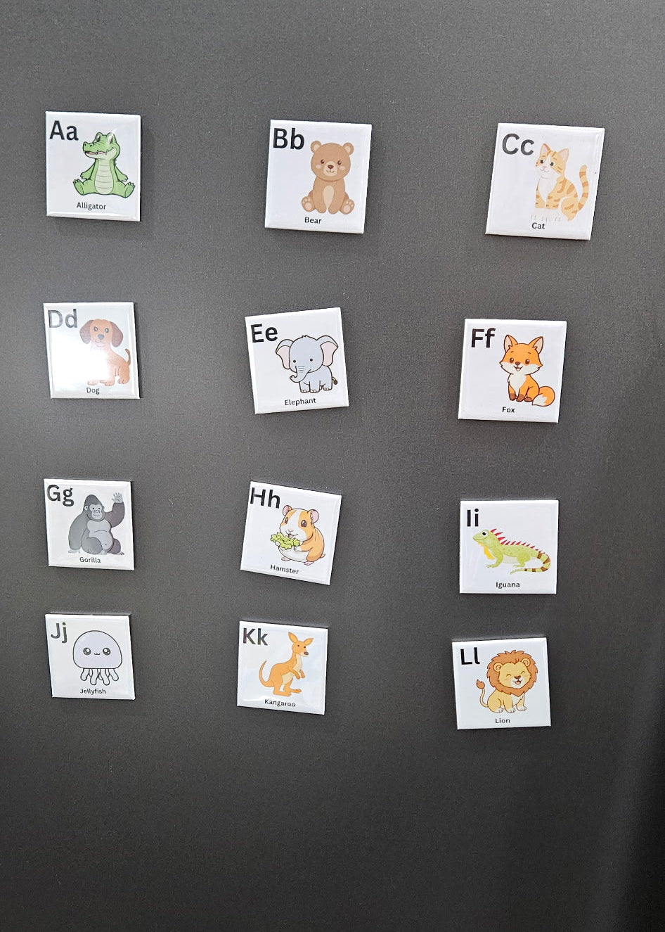 Alphabet Magnet Set