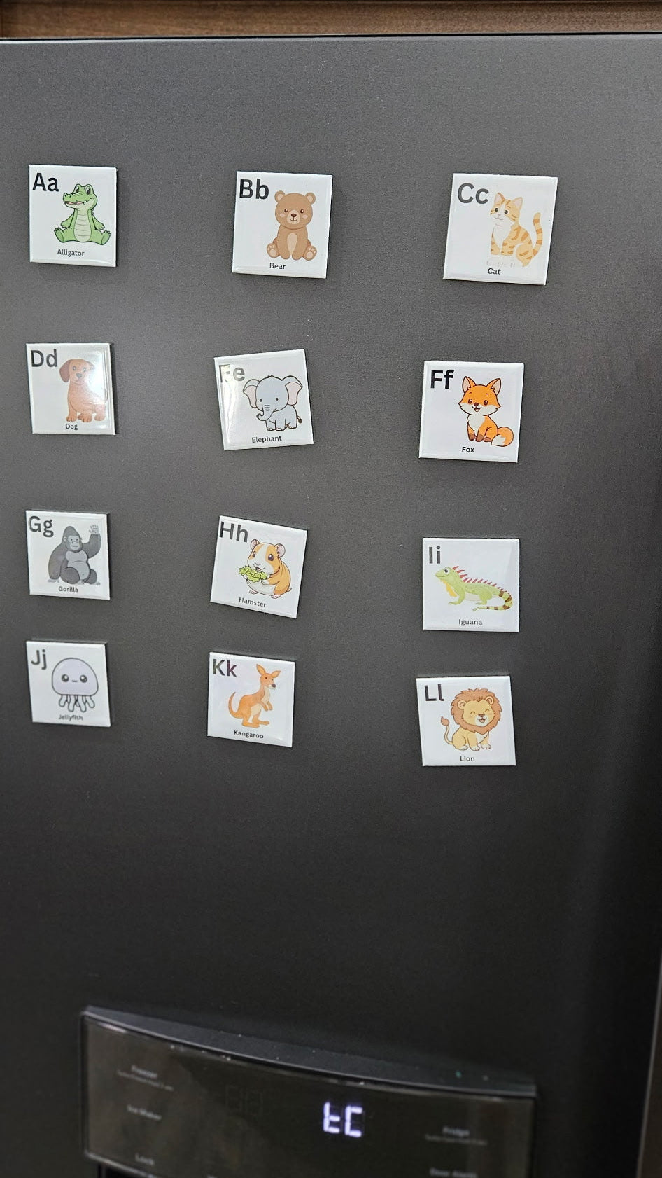 Alphabet Magnet Set