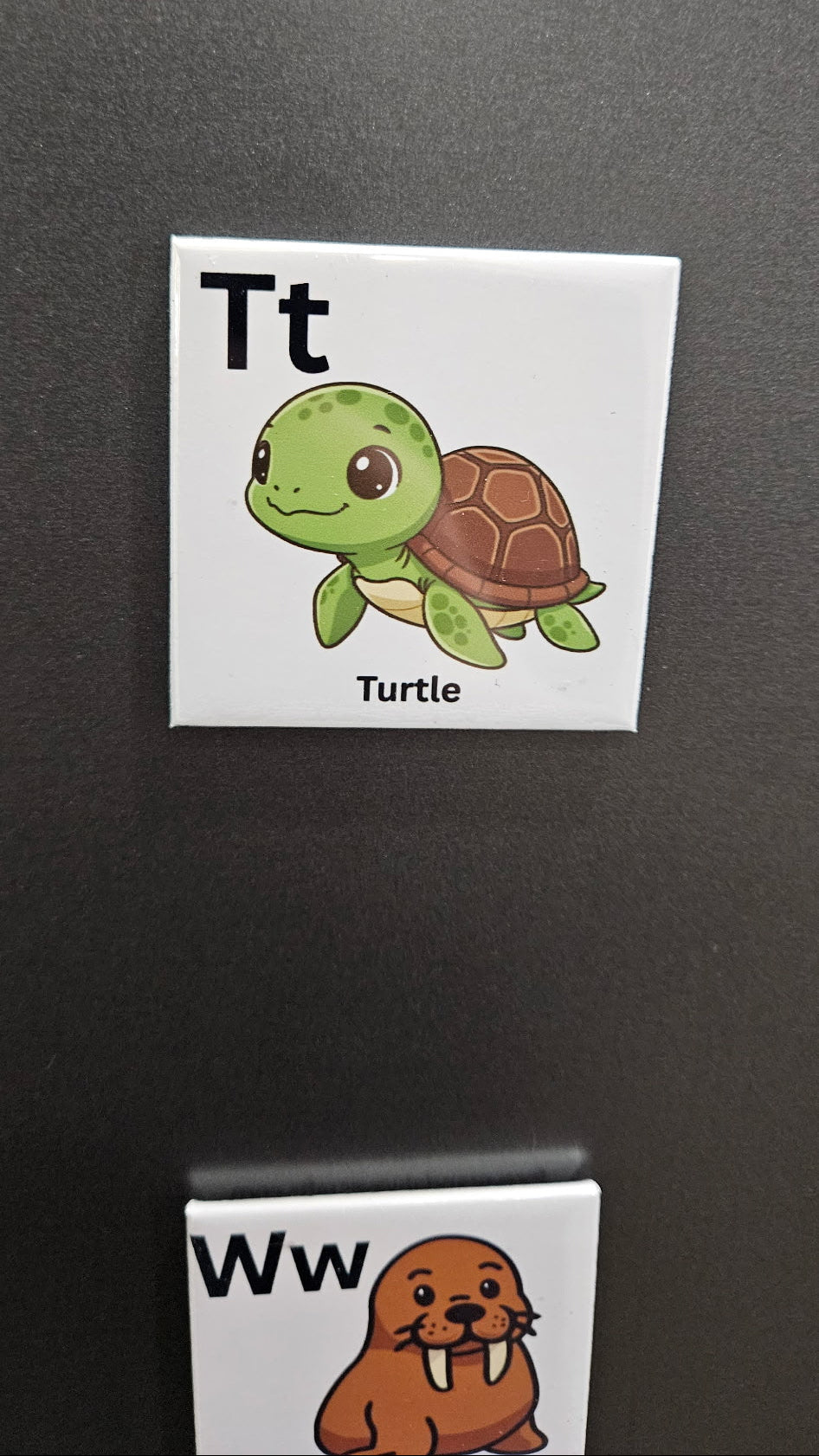 Alphabet Magnet Set